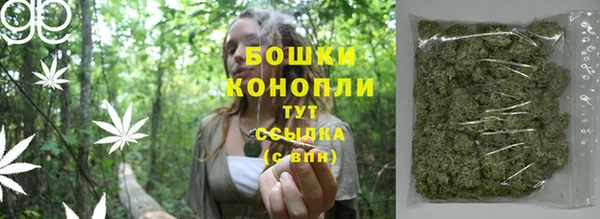 apvp Богородицк