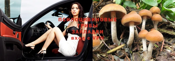 альфа пвп Богородск