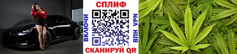 где продают Буйнакск Шишки марихуана тримм